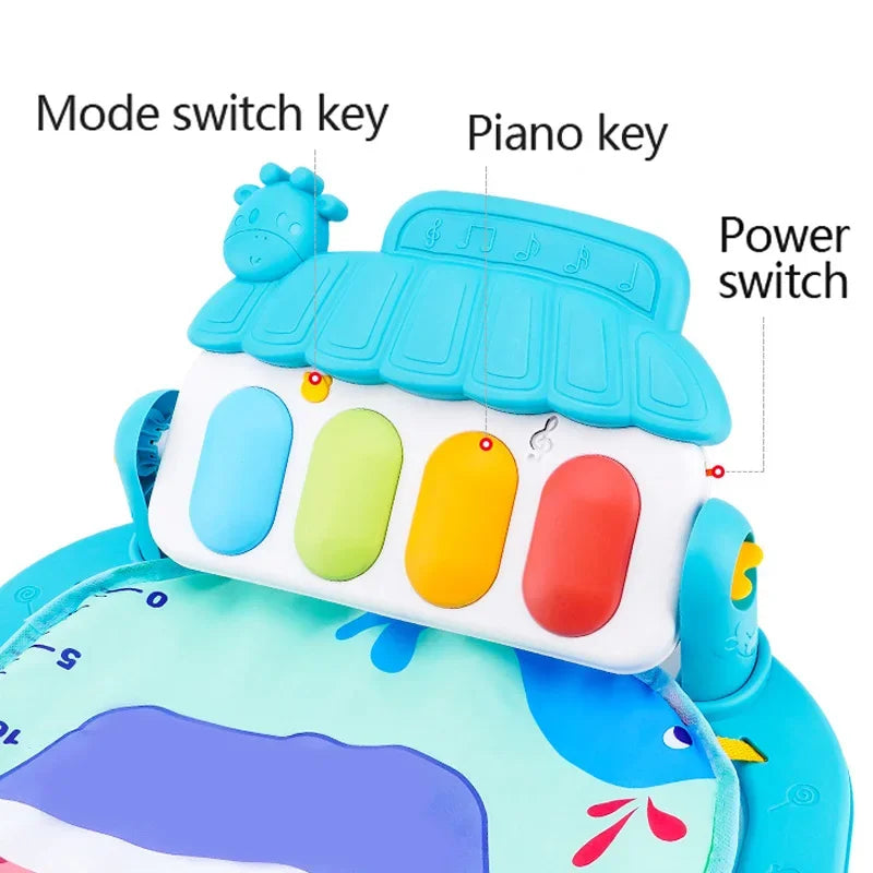 Musical Activity Gym