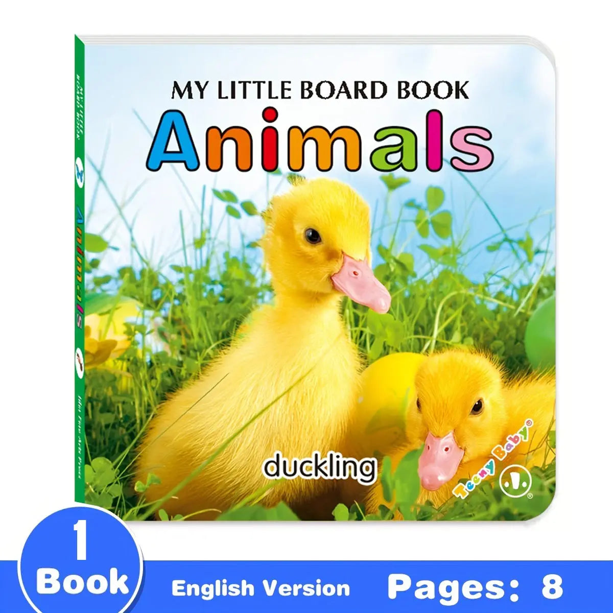 Sensory Board Book