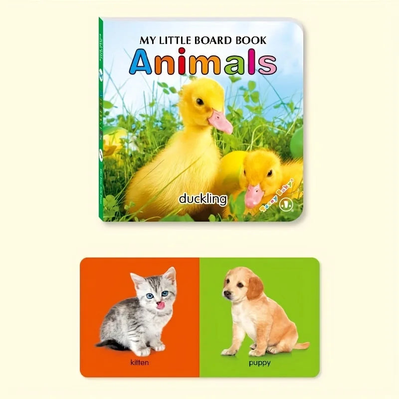 Sensory Board Book