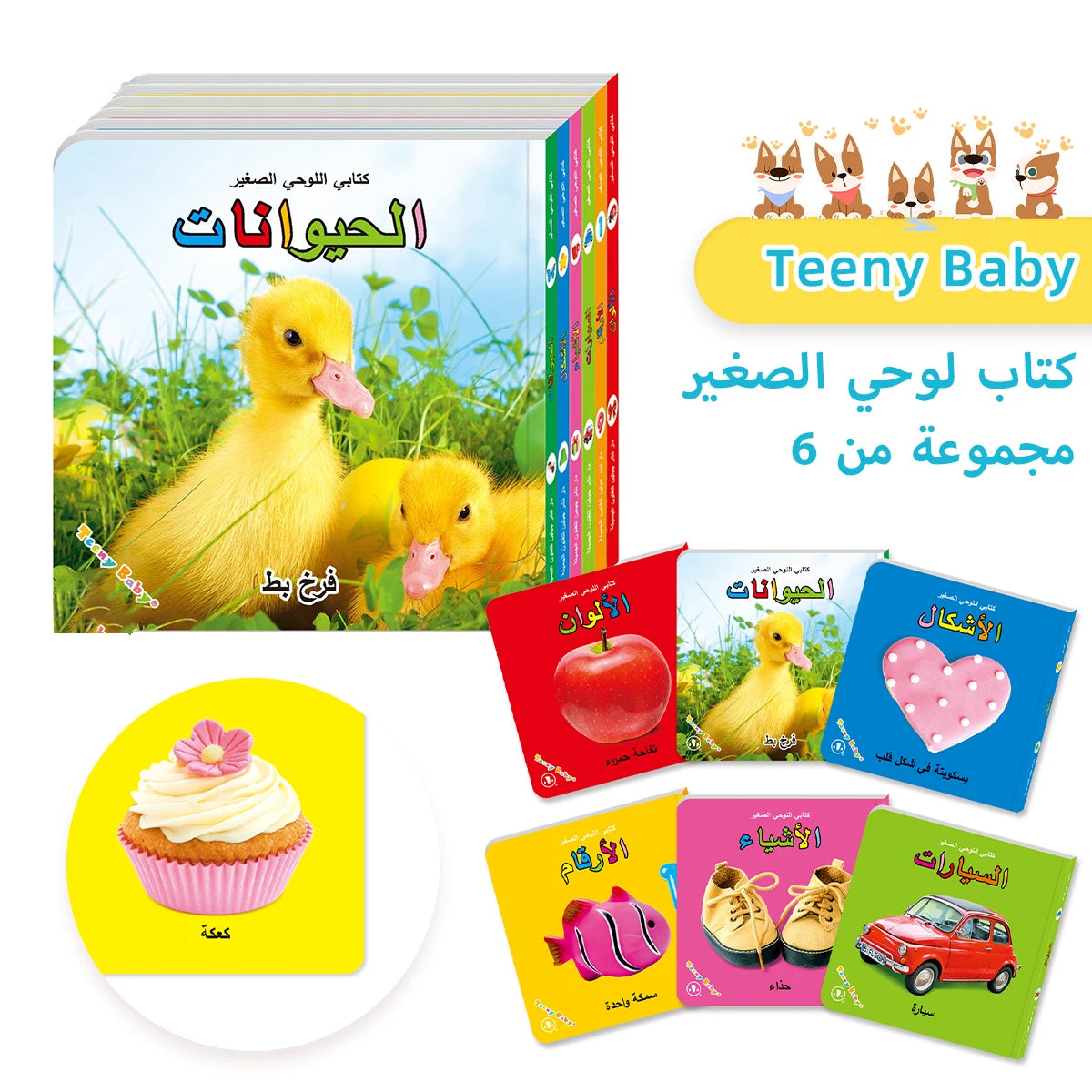 Sensory Board Book